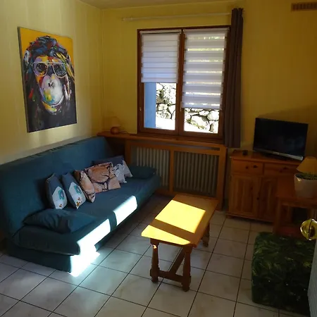 Апартаменты Profiter Du Calme De La Montagne Vosgienne Saulxures-sur-Moselotte